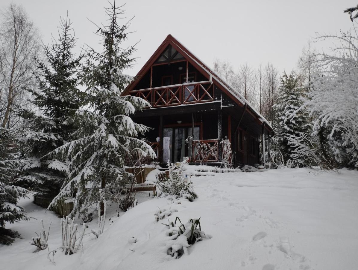 Garden House Nad Jeziorem Szelment Przejma Wielka 外观 照片